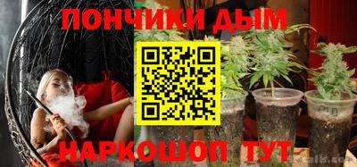 шишки Ставрополь